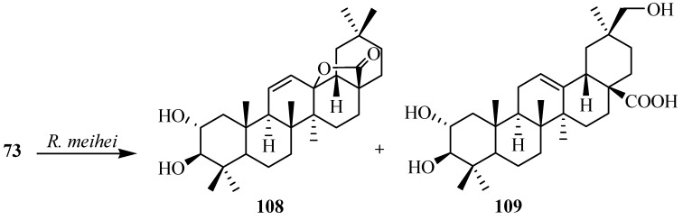 Figure 31