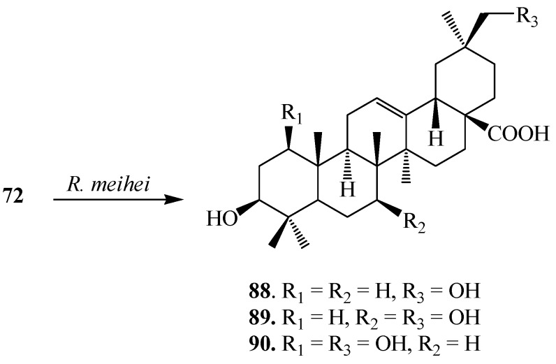 Figure 24