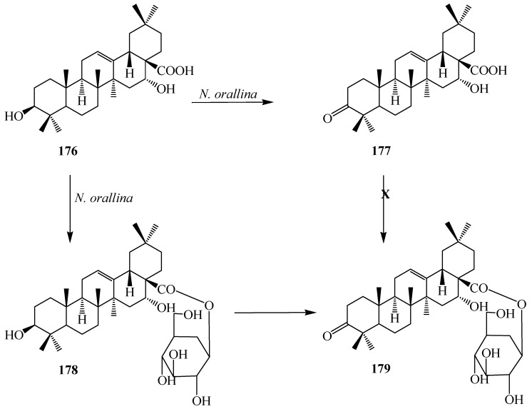 Figure 48