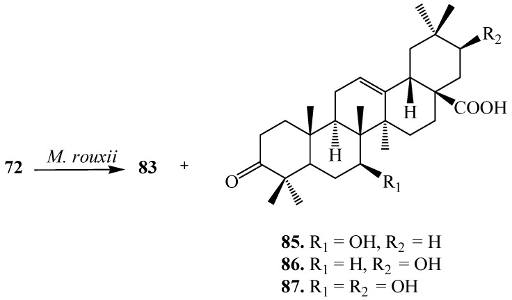 Figure 23