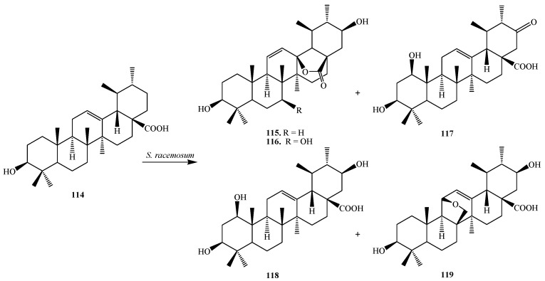 Figure 33