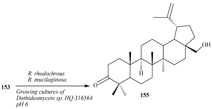 Figure 43