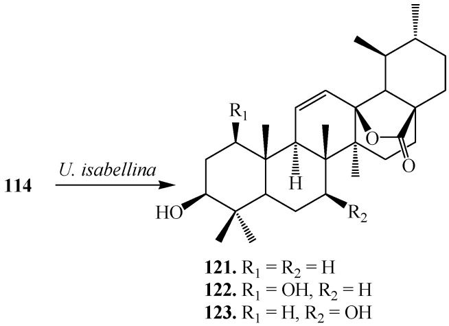 Figure 35