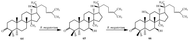 Figure 17