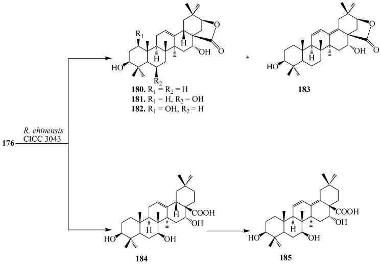 Figure 49