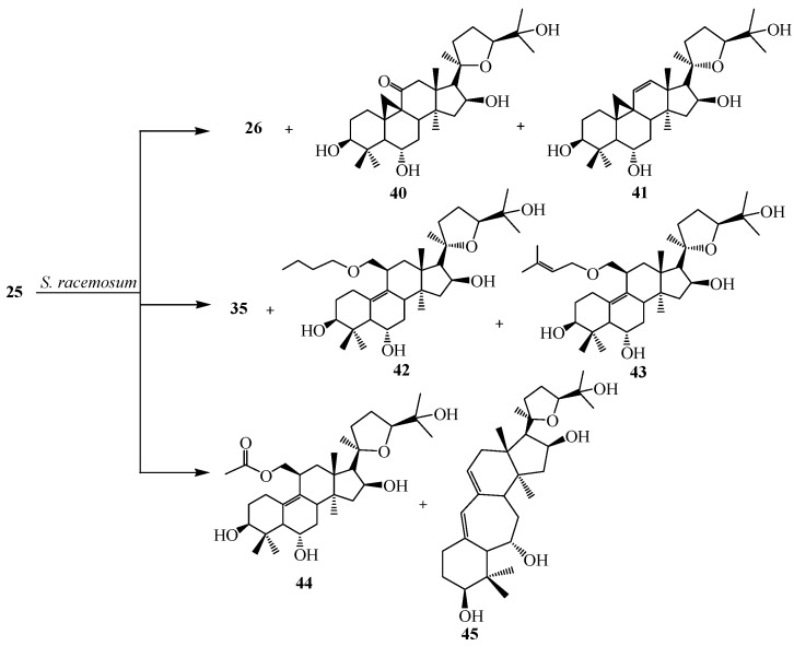 Figure 13