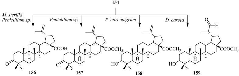 Figure 44