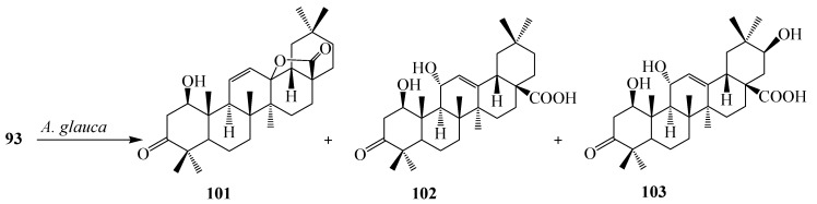 Figure 29