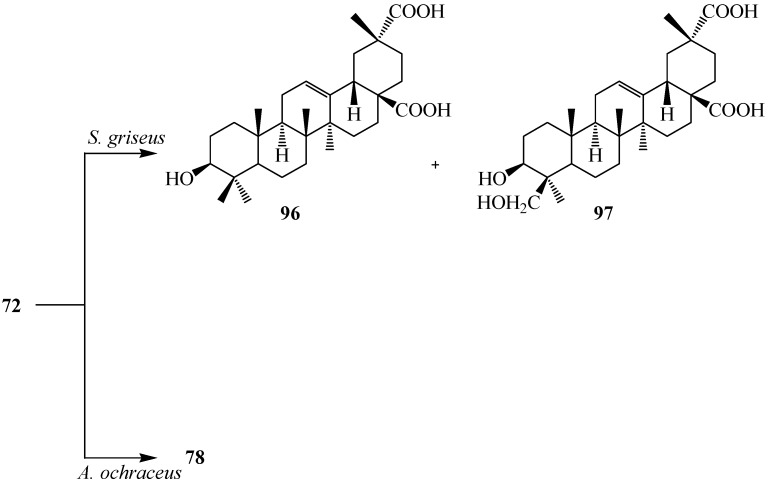 Figure 26