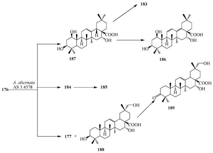 Figure 50