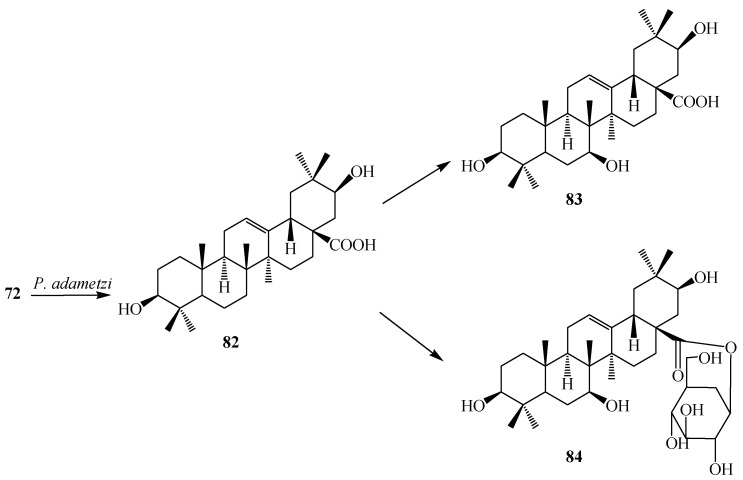 Figure 22