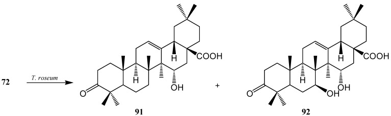 Figure 25