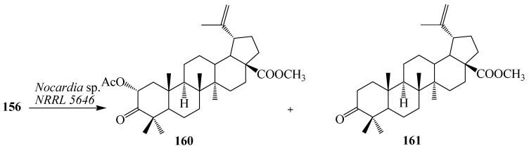 Figure 45