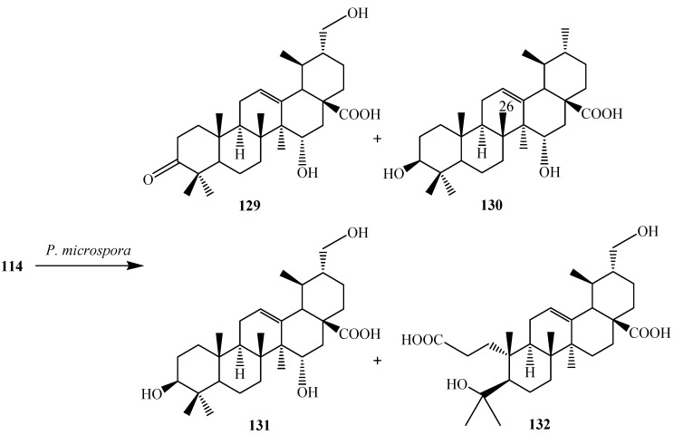 Figure 37