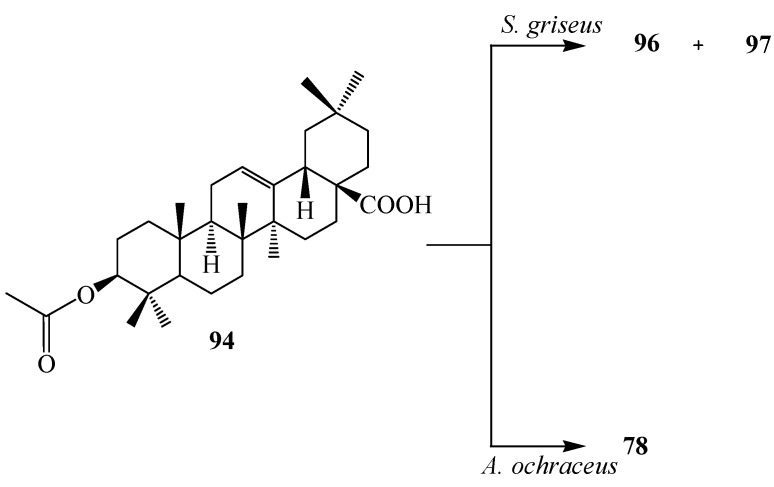 Figure 28