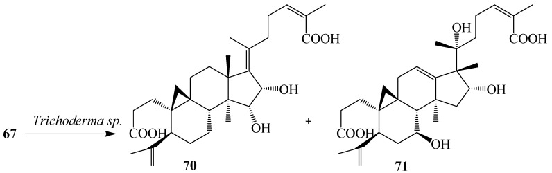 Figure 19