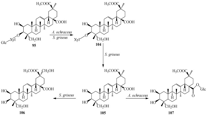 Figure 30