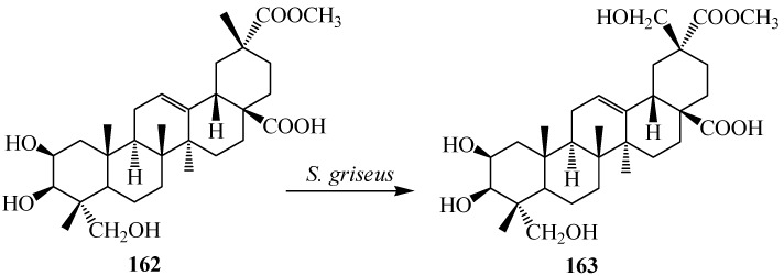 Figure 46