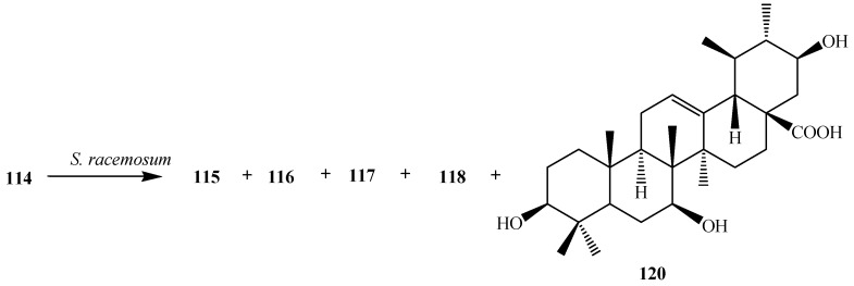 Figure 34