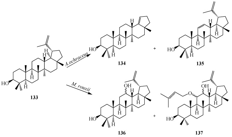 Figure 38