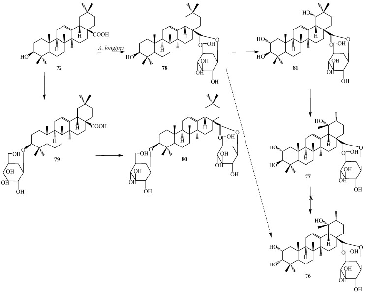 Figure 21