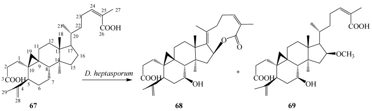 Figure 18