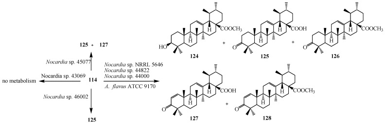 Figure 36