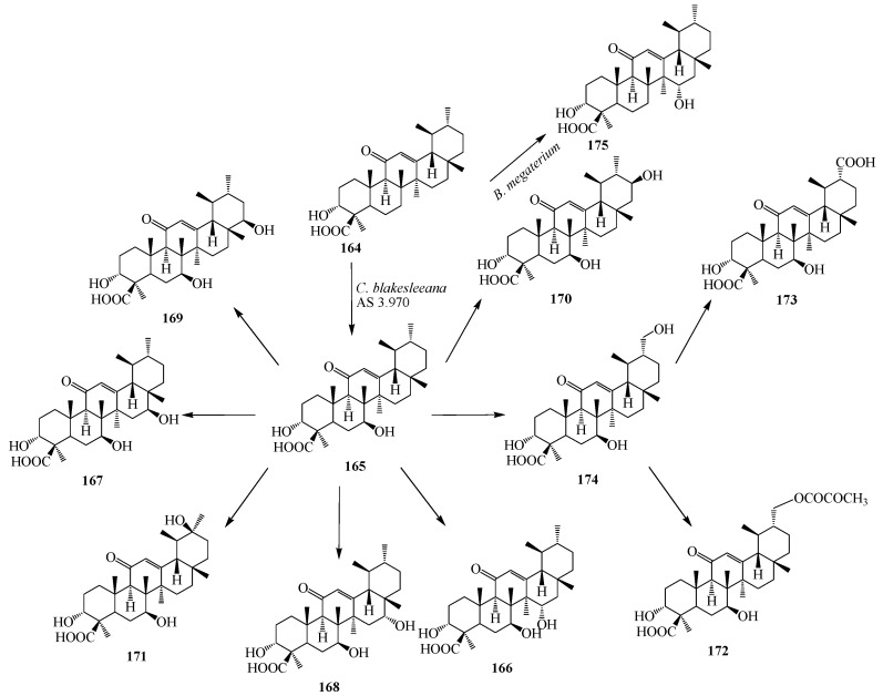 Figure 47