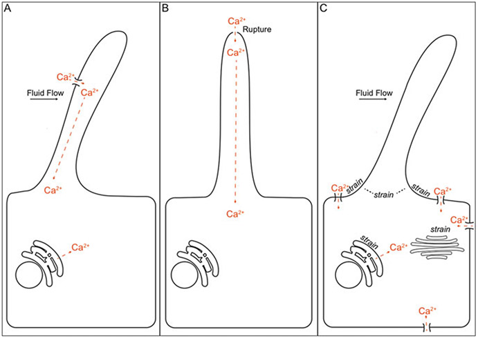 Fig. 11.3