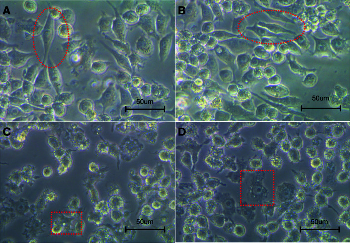 Fig. 9