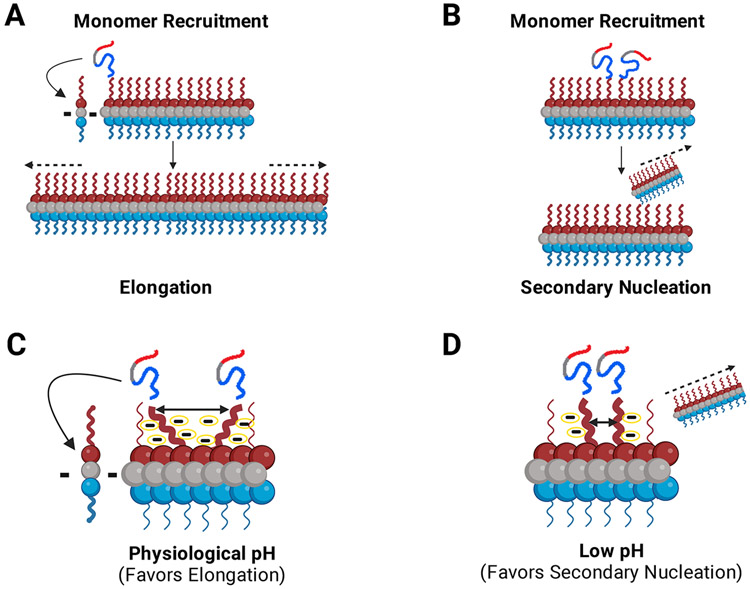 FIGURE 4: