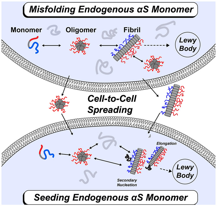 FIGURE 1: