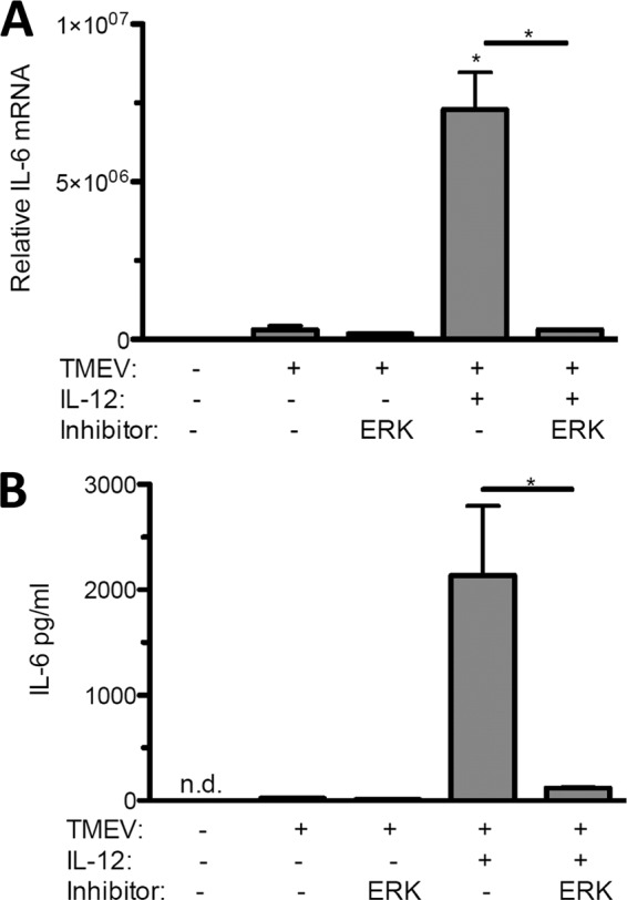 Fig 5