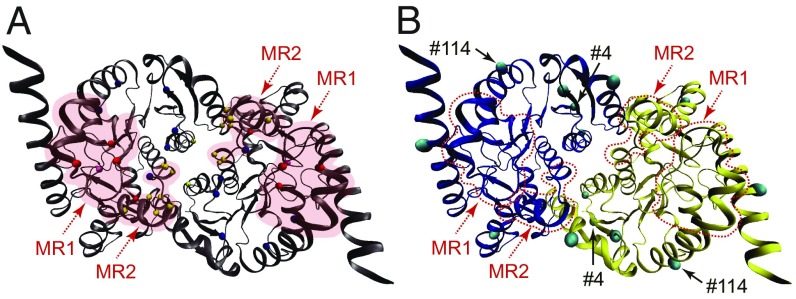 Fig. 5.