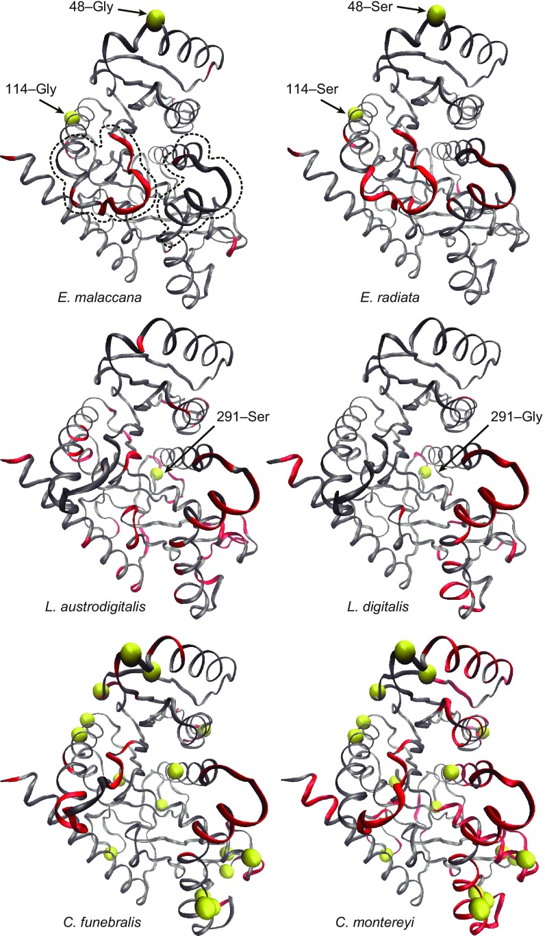 Fig. 4.