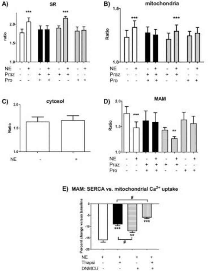 Fig 3.