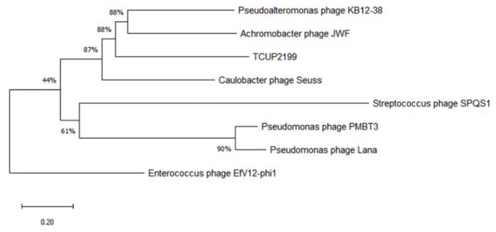 Figure 7