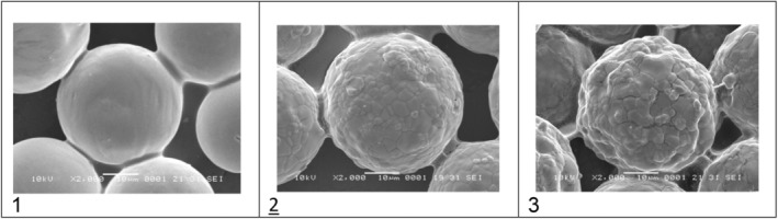 FIGURE 3