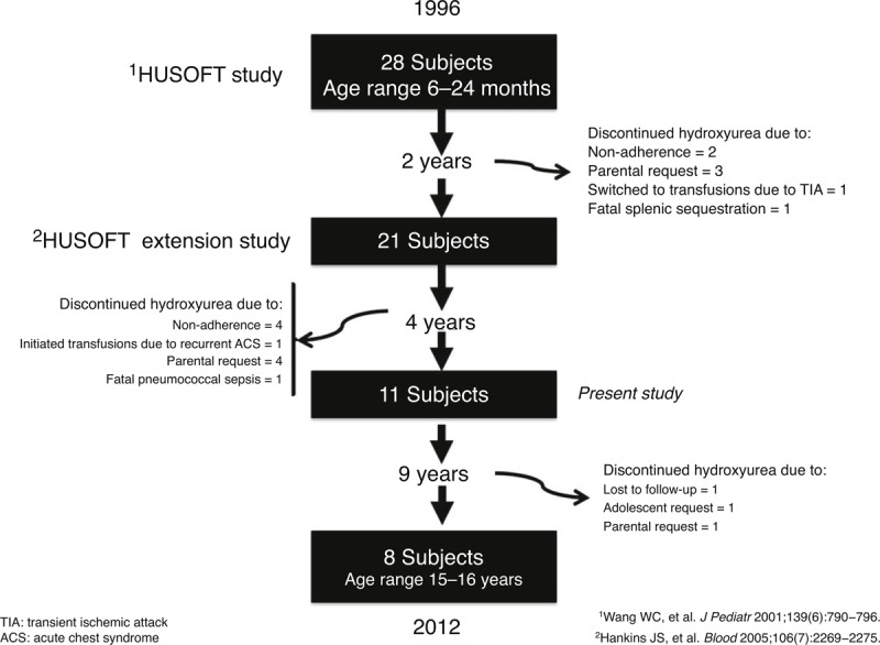 FIGURE 1