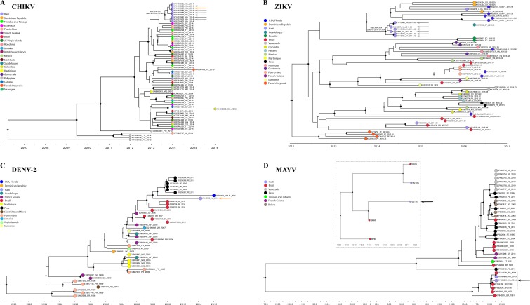 Fig 3