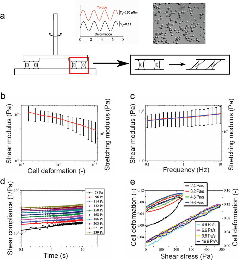 Figure 4: