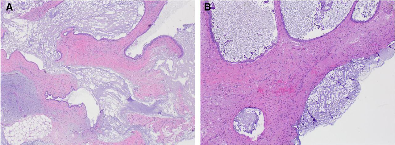 Figure 6: