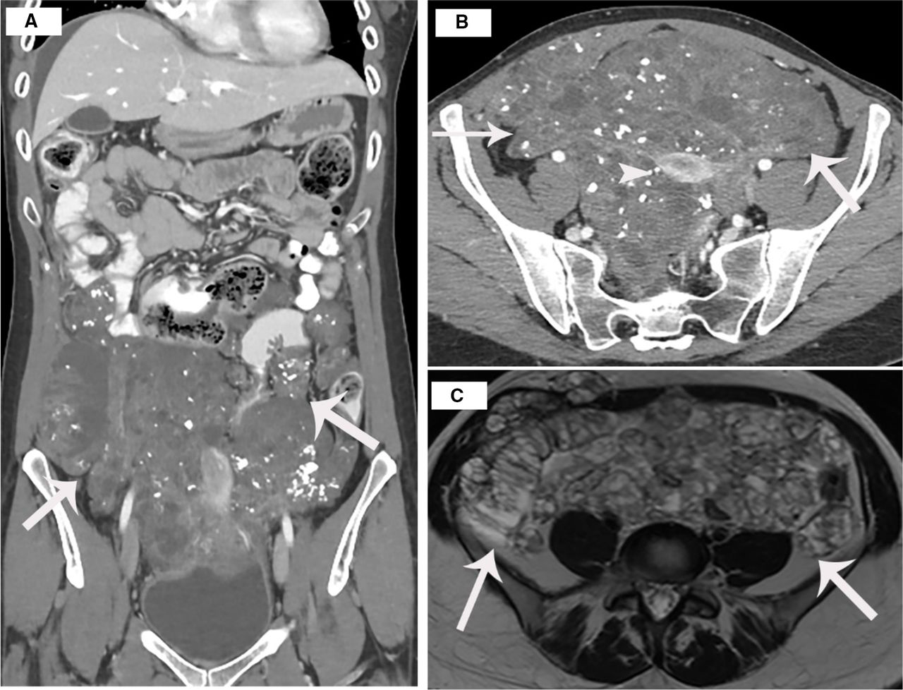 Figure 1: