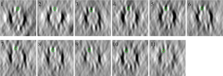 Figure 5.