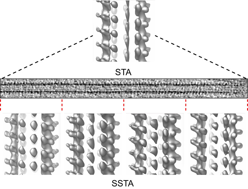 graphic file with name BioProtoc-13-14-4723-ga001.jpg