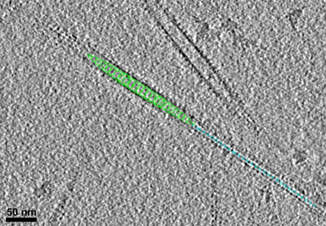 Figure 7.