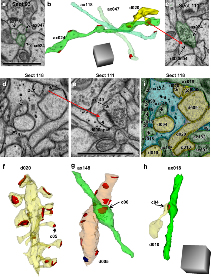 Figure 5