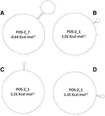 Supplementary Fig. 1