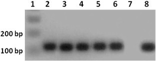 Supplementary Fig. 2