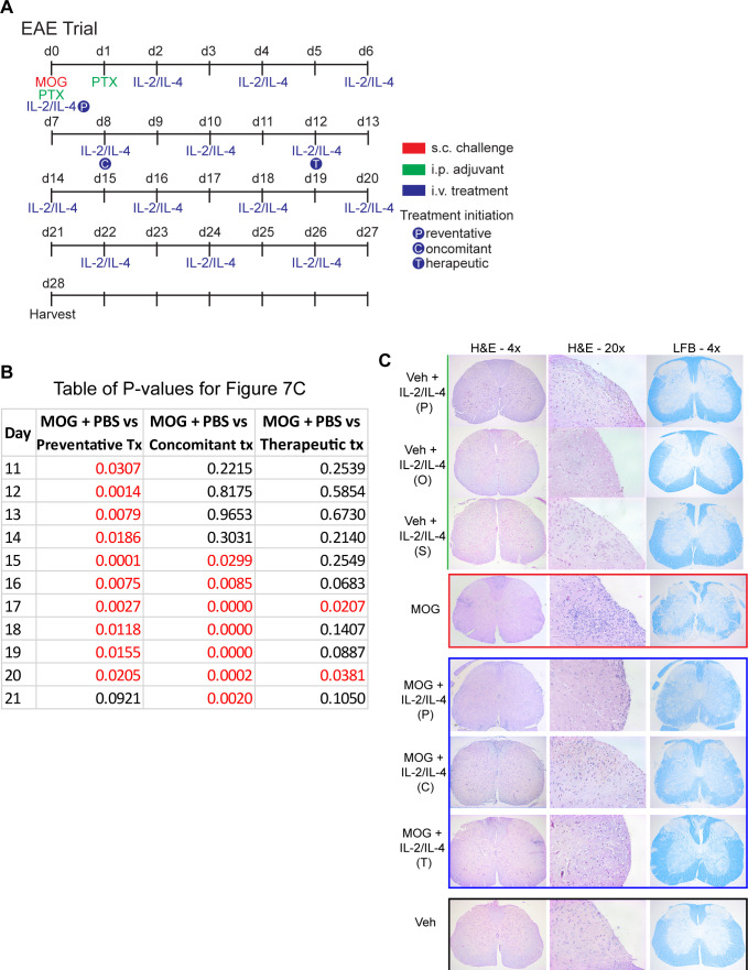 Figure 7—figure supplement 2.